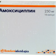 small-amoksiczillin-kaps-250mg-n16-up-knt-yach-pk-0