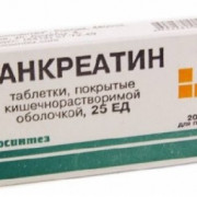 small-pankreatin-tab-kishechnorastv-p.p.o.-25ed-n20-up-knt-yach-pk-0