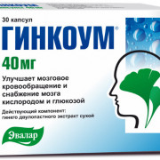 small-ginkoum-kaps-40mg-n30-up-knt-yach-pk-0