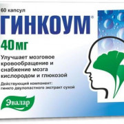 small-ginkoum-kaps-40mg-n60-up-knt-yach-pk-0
