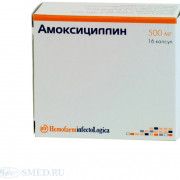 small-amoksiczillin-kaps-500mg-n16-up-knt-yach-pk-0