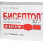 small-biseptol-tab-480mg-n28-bl-pk-0