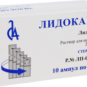 small-lidokain-r-r-d/in-20mg/ml-2ml-n10-amp-pet-pk-0